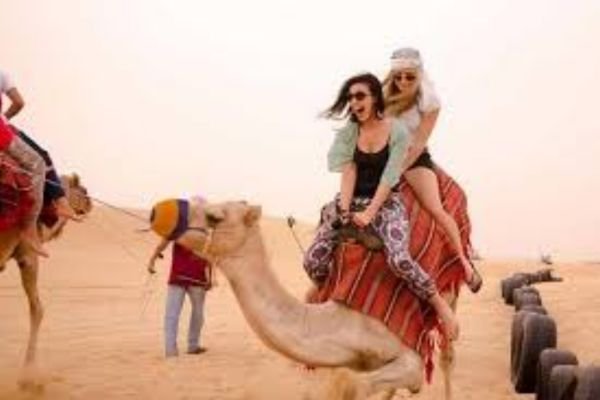 Safari with Camel Ride